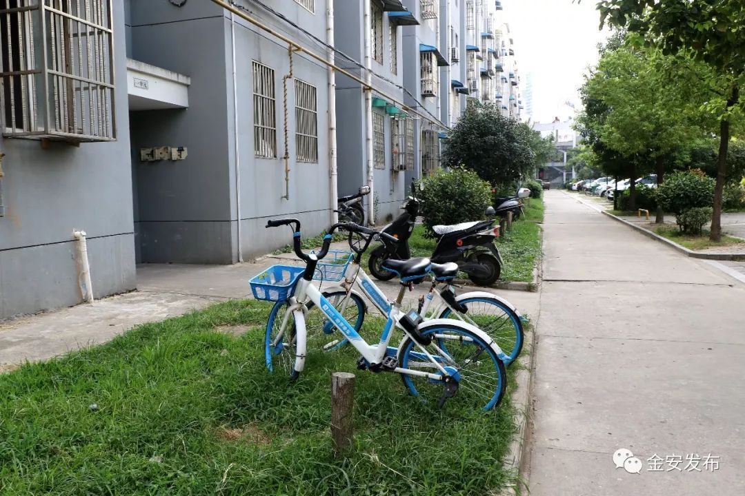 碧桂园空置房物业费收取标准,碧桂园老带新物业费不给了怎么办