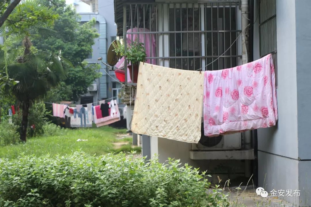 碧桂园空置房物业费收取标准,碧桂园老带新物业费不给了怎么办