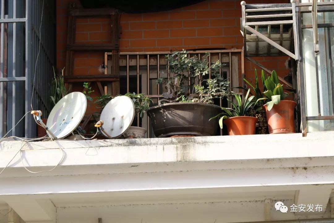 碧桂园空置房物业费收取标准,碧桂园老带新物业费不给了怎么办