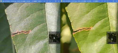 谁才是千元之内的拍照王者荣耀Play3VSRedmiNote8