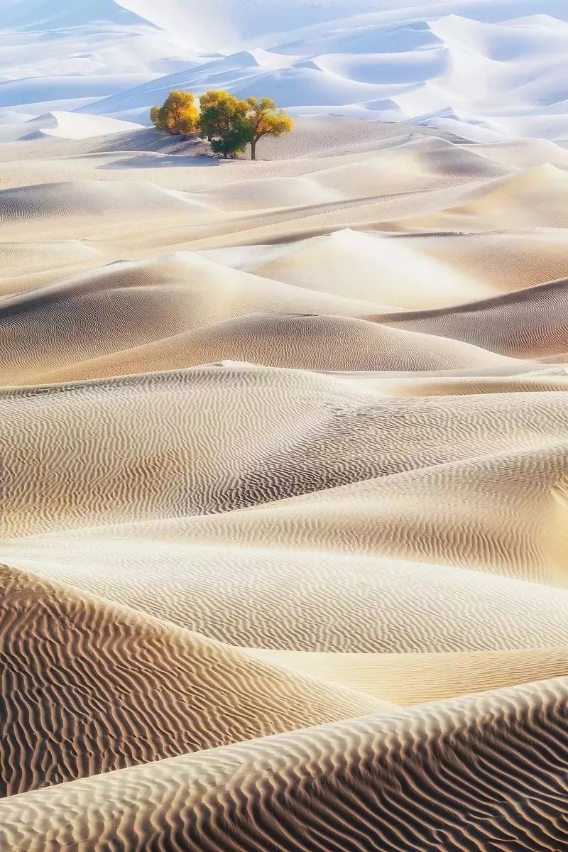 选好出行路线,选日期出行