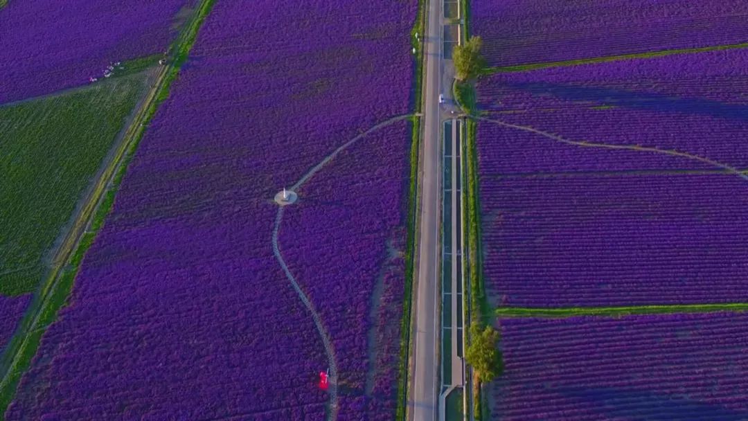 选好出行路线,选日期出行