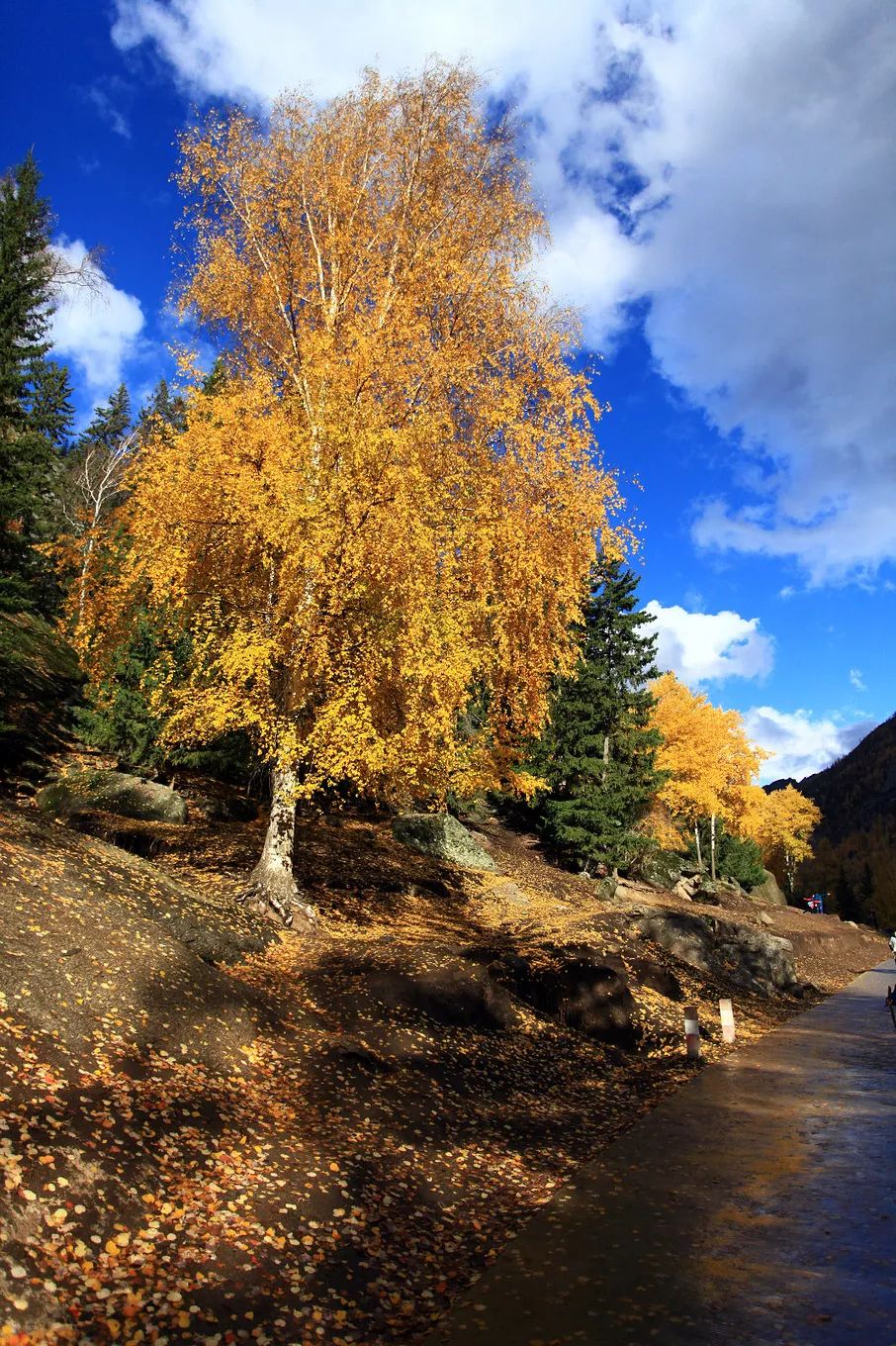 选好出行路线,选日期出行