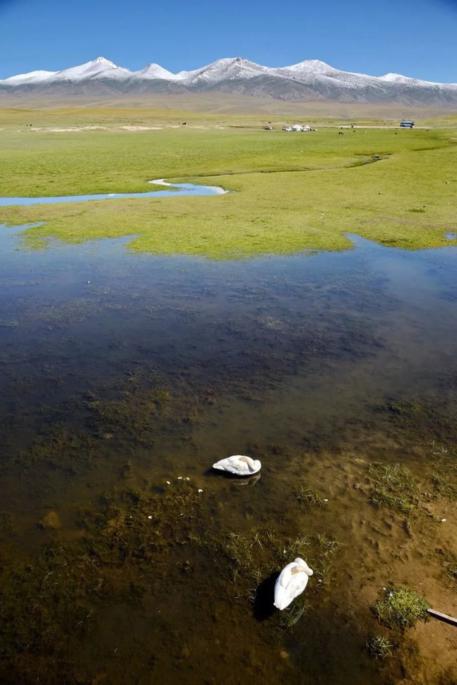 选好出行路线,选日期出行