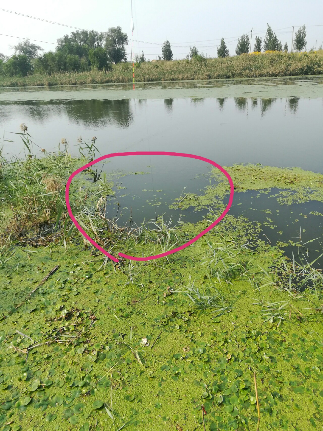 七星连珠天象现身预示什么,七星连珠将现身这有什么意义