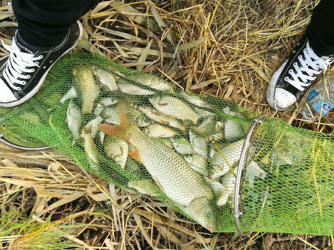 七星连珠天象现身预示什么,七星连珠将现身这有什么意义