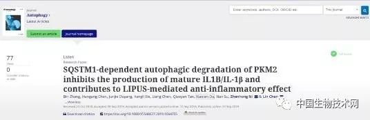 骨关节炎无创治疗新进展：低强度脉冲超声缓解骨关节滑膜炎和自噬相关
