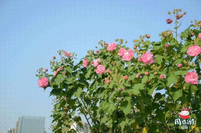 福州周边这15处神仙景点不容错过,收下长假福州市景点旅行攻略