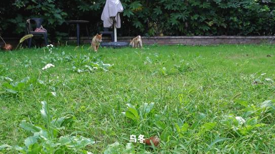 好物分享秋季爆款,秋秋好物分享推荐