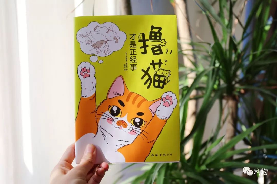 好物分享秋季爆款,秋秋好物分享推荐