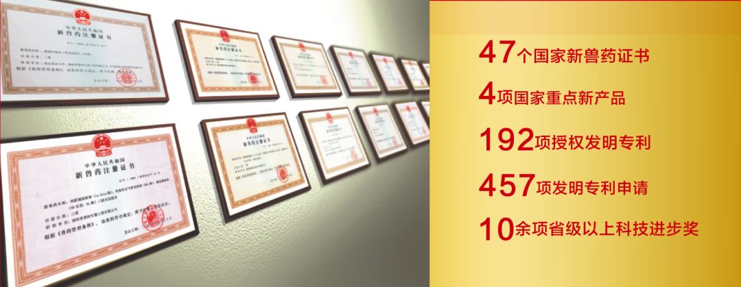 普莱柯生物张许科,创新创业与家国情怀