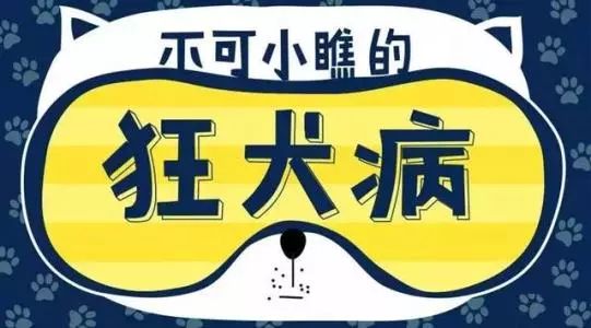 被狗咬了三天了怎么办,被狗咬了怎么办不伤手