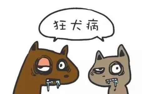 被狗咬了三天了怎么办,被狗咬了怎么办不伤手