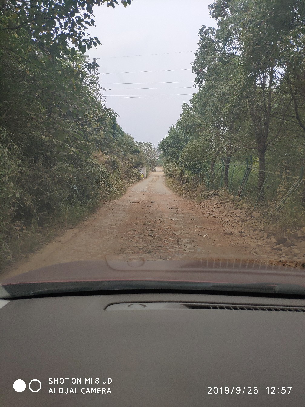 打黑中鱼率,打黑用什么饵中鱼率高