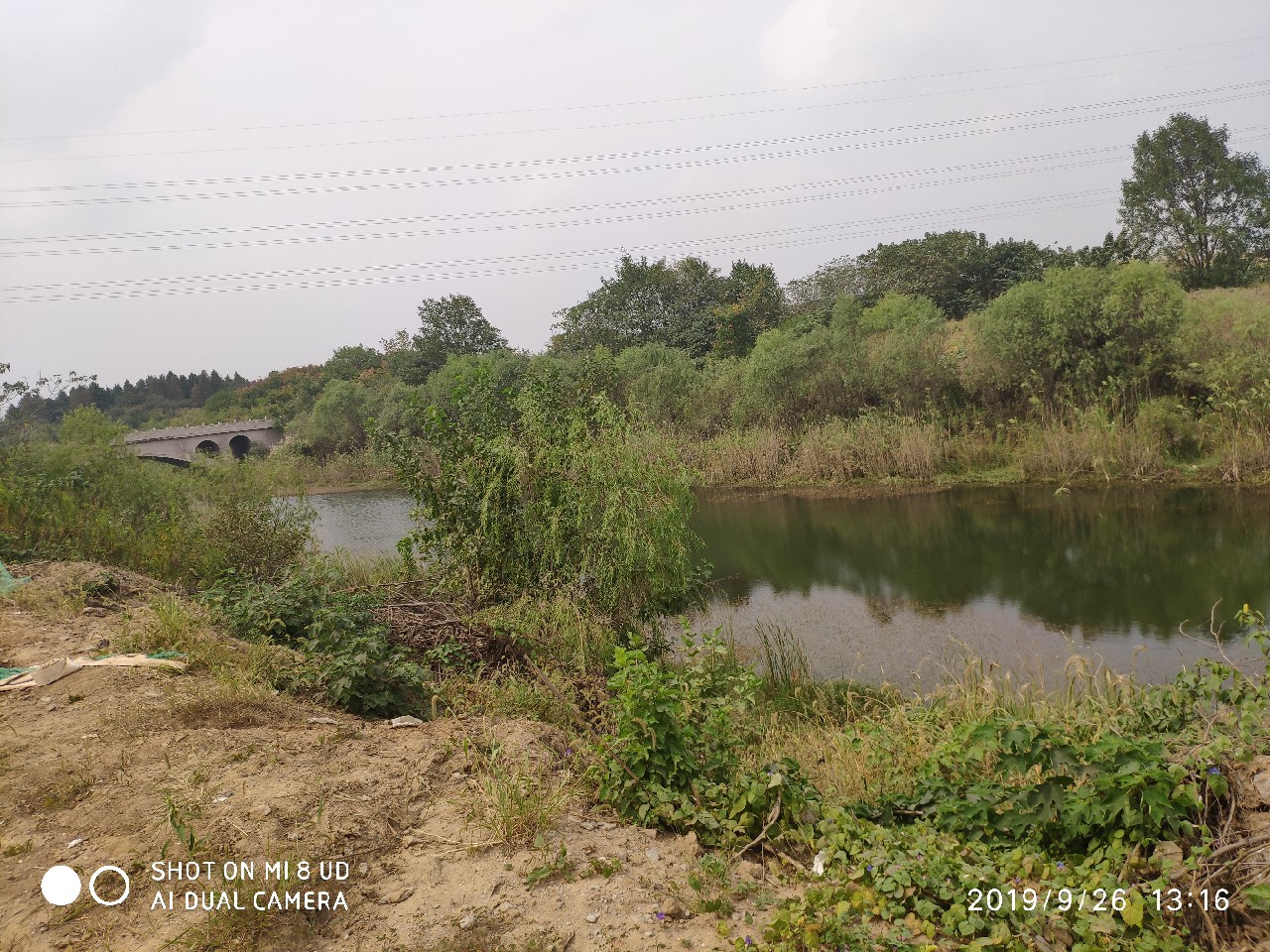 打黑中鱼率,打黑用什么饵中鱼率高