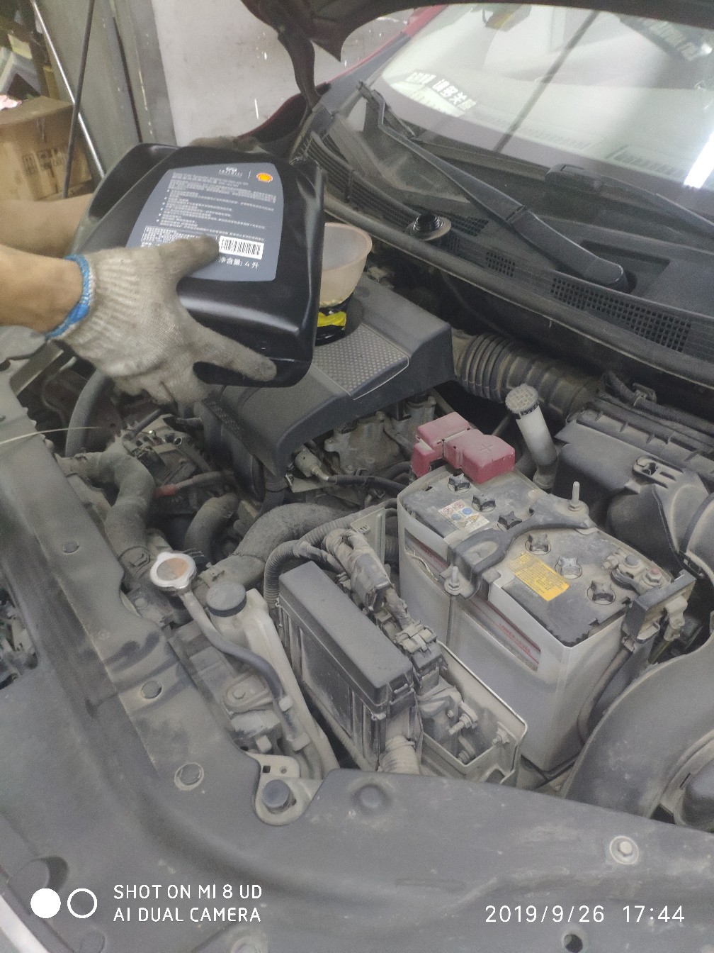 打黑中鱼率,打黑用什么饵中鱼率高