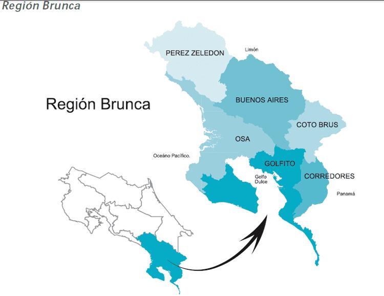 哥斯达黎加咖啡口感怎么样,哥斯达黎加阿拉比卡咖啡