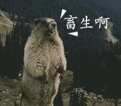 老婆刚得绝症，渣男就网约mm唱歌看电影了！篱笆网沸腾了