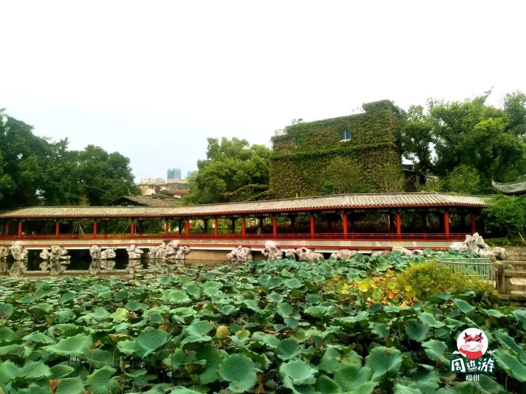 福州好玩拍照好看的地方,福州3-4月份赏花位置