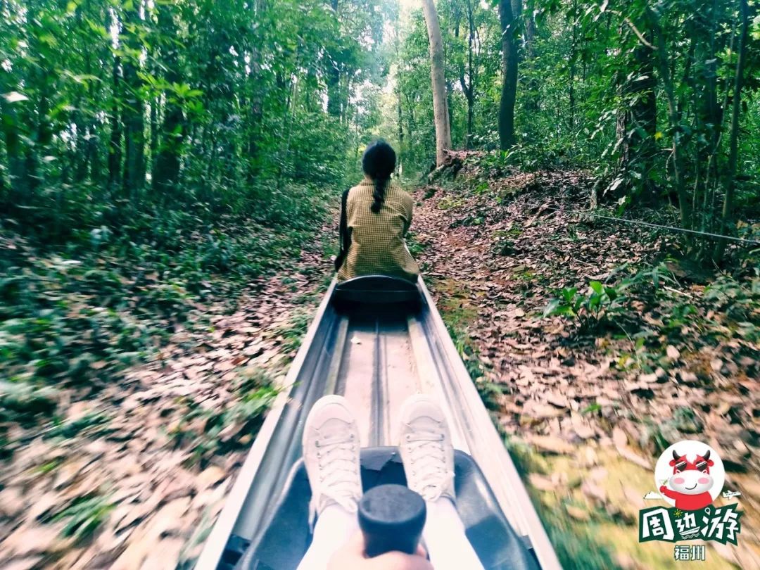 福州好玩拍照好看的地方,福州3-4月份赏花位置