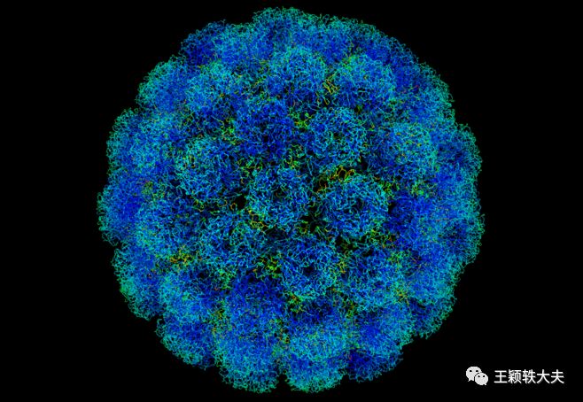 癌症的治疗与预防讲座的心得体会,浅谈肺癌的癌变之路