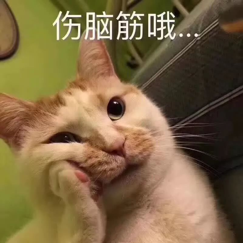 双十一别花冤枉钱,双十一别买买买视频
