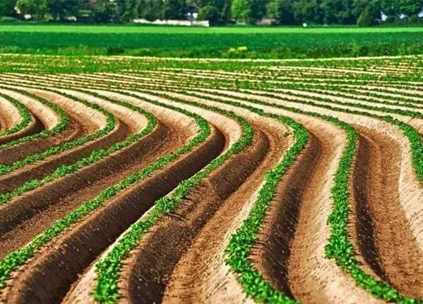 面临重茬，我们怎么办？（实用好文）