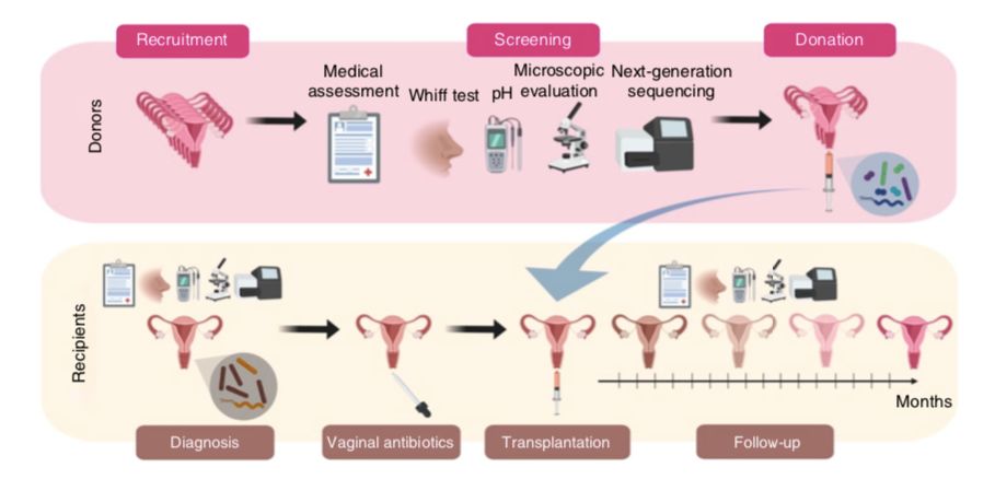 nature子刊抗生素,nature子刊名单