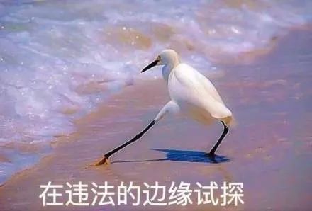 两名乘客坐飞机抽烟,飞机上抽烟落地后被拘5日