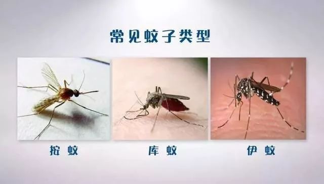 @全体南宁人，赶紧翻盆倒罐动起来！“三红”、“三痛”又是啥?