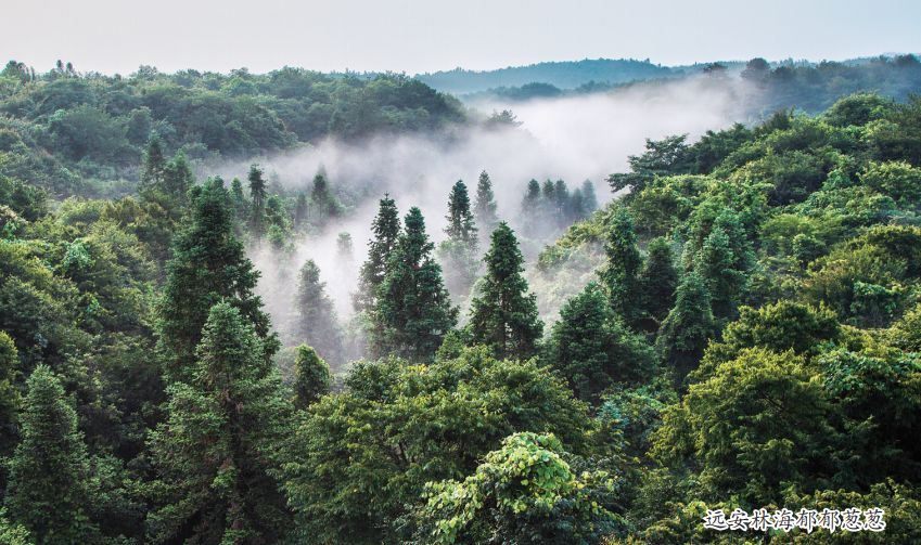 少先队生日快乐主题队会,少先队生日祝福的视频