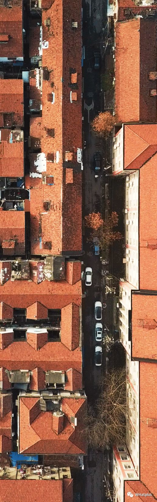 走进汉口一元路,一元路走进汉口