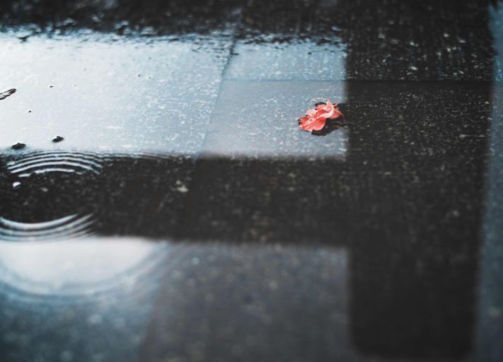 耗时3年的花间堂创始人新作，以船代步揭开杭城小众一面