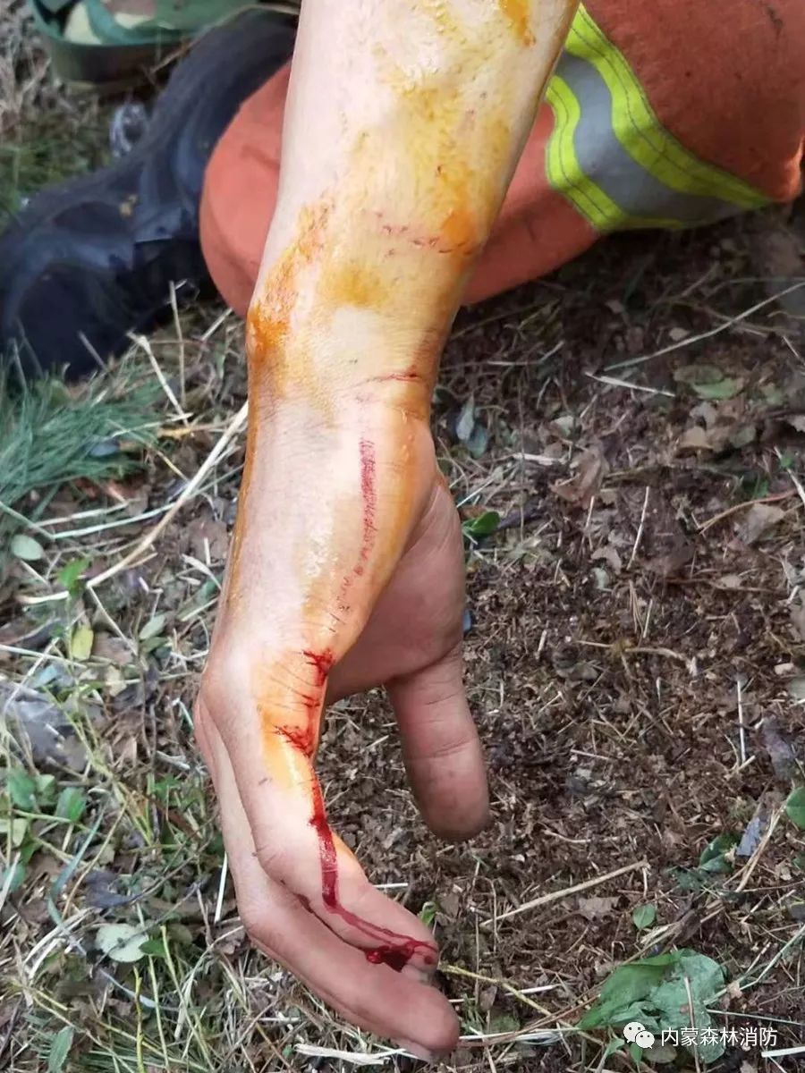 森林防火员主题教育学习心得体会,森林防火队伍如何强化使命责任感