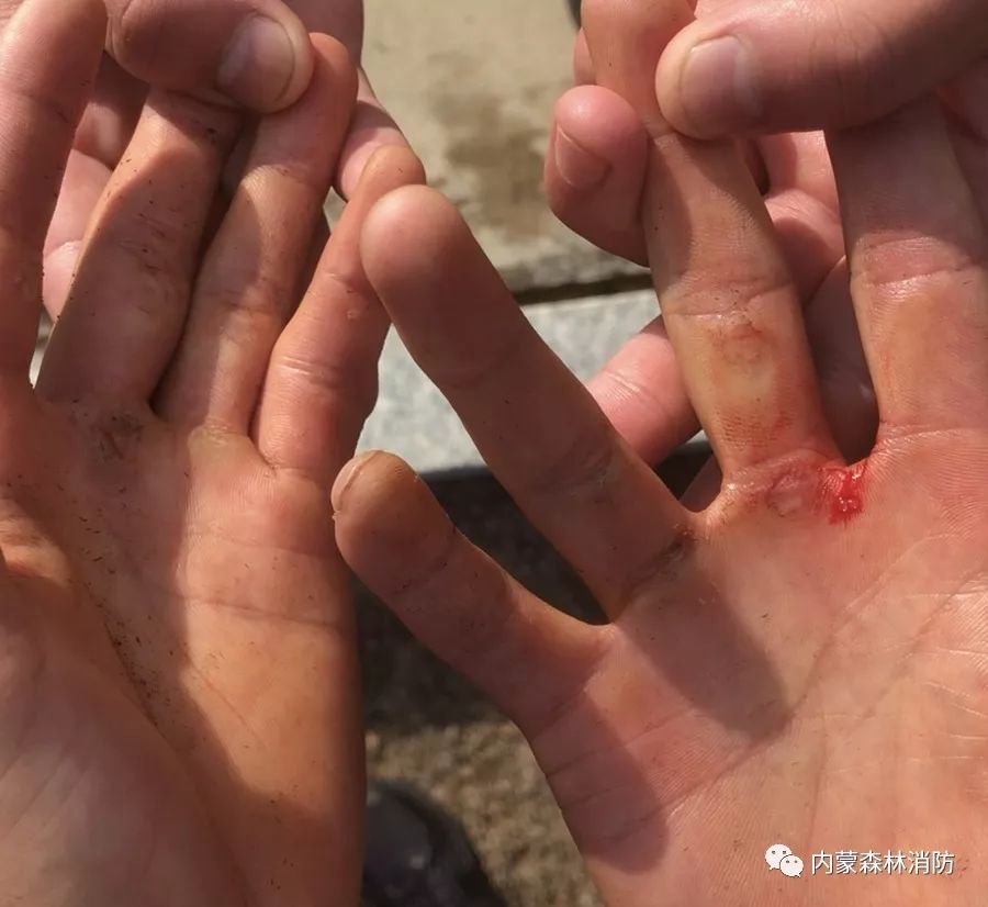 森林防火员主题教育学习心得体会,森林防火队伍如何强化使命责任感