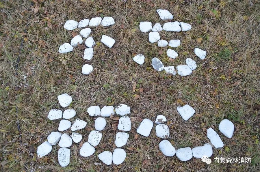 森林防火员主题教育学习心得体会,森林防火队伍如何强化使命责任感