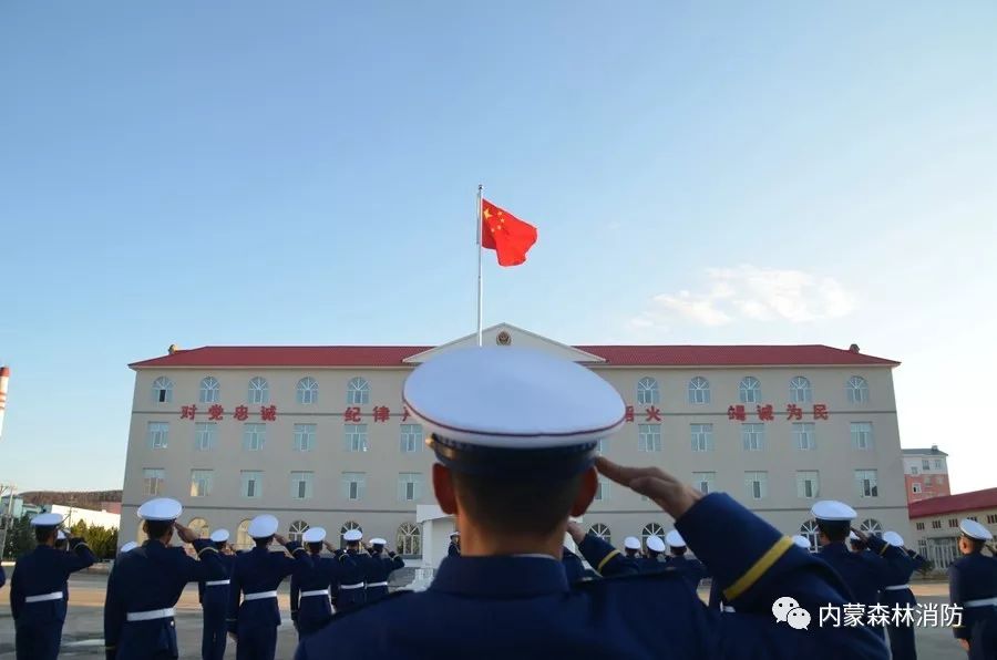 森林防火员主题教育学习心得体会,森林防火队伍如何强化使命责任感