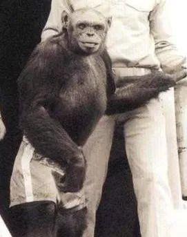 人类进化背后的万年相亲博弈