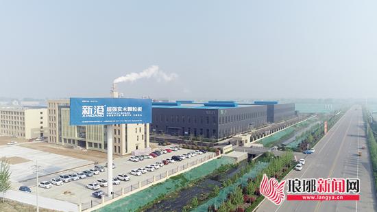 临沂木业转型升级方案,兰山木业转型座谈会