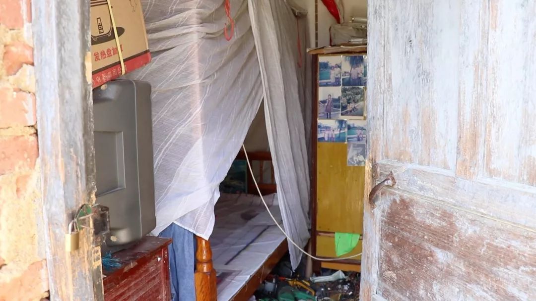 白马镇上的鬼火少年,白马镇鬼火少年完整版