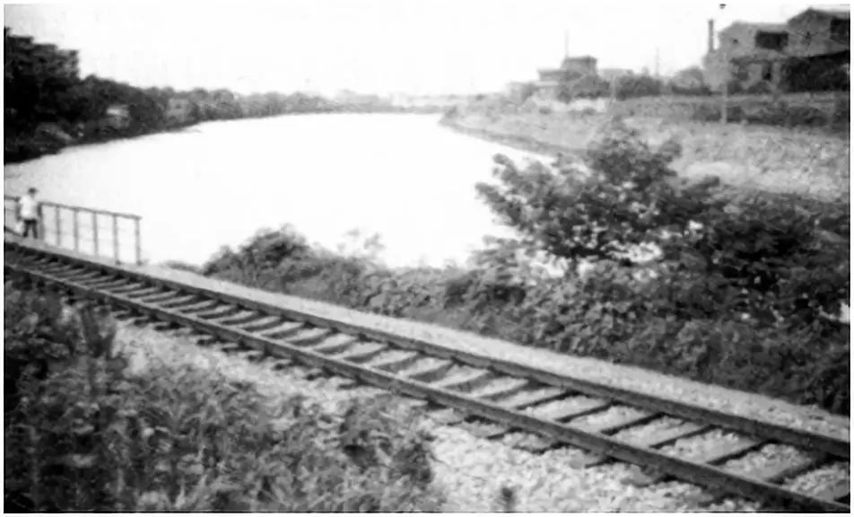 长沙人文和历史,长沙新河三角洲历史