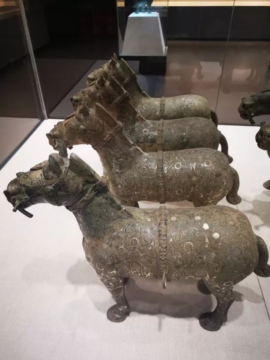 重庆大学建立了一个赝品博物馆,重庆大学赝品博物馆央视