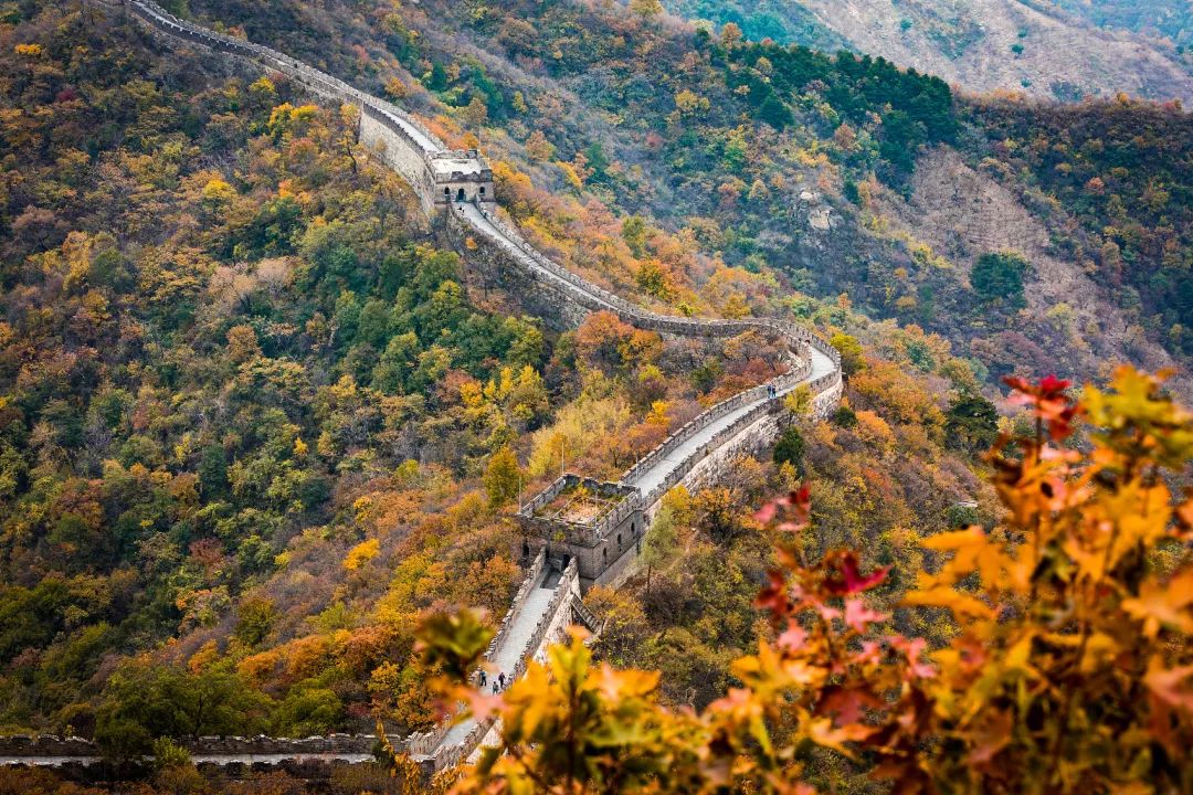 寻找国内十大最美秋色,10月最美秋色