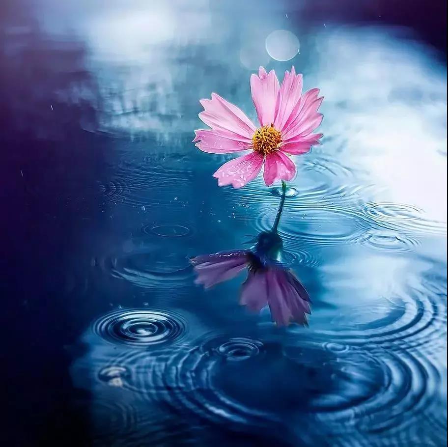 70个超实用靠谱的健康小知识,70个超实用健康小知识