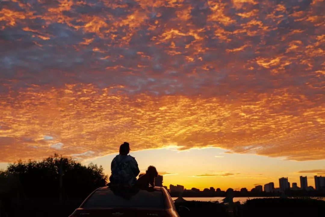 沂水活动摄影哪家好,沂水新沂蒙摄影
