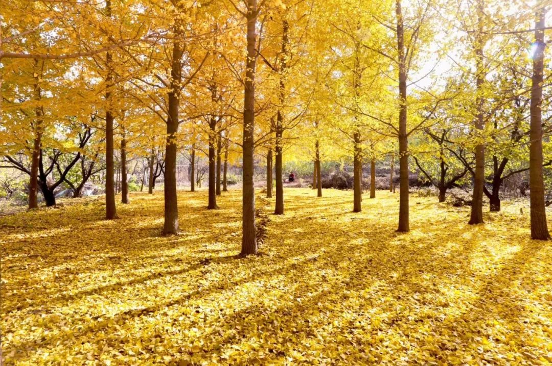 沂水活动摄影哪家好,沂水新沂蒙摄影