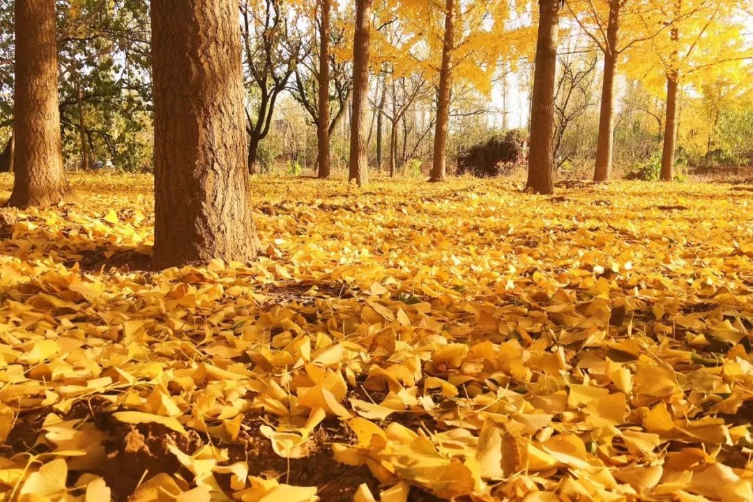 沂水活动摄影哪家好,沂水新沂蒙摄影