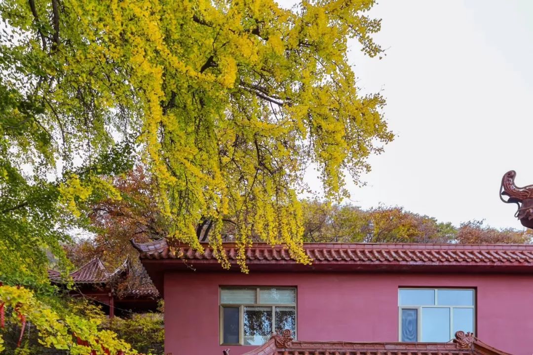 沂水活动摄影哪家好,沂水新沂蒙摄影