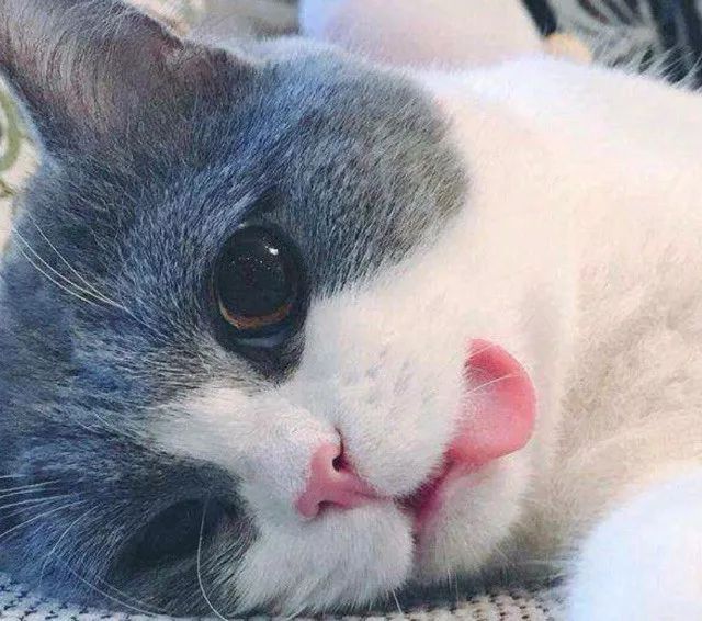 代购罚款100万判几年,留学生做代购犯法吗