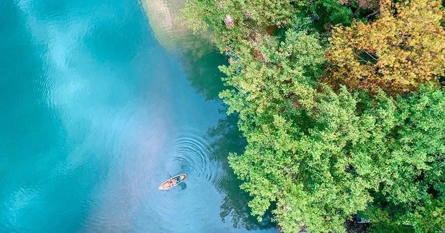 重磅！永嘉五家民宿入围2019中国十大必睡·美宿50强，青箬山房暂时排名第一